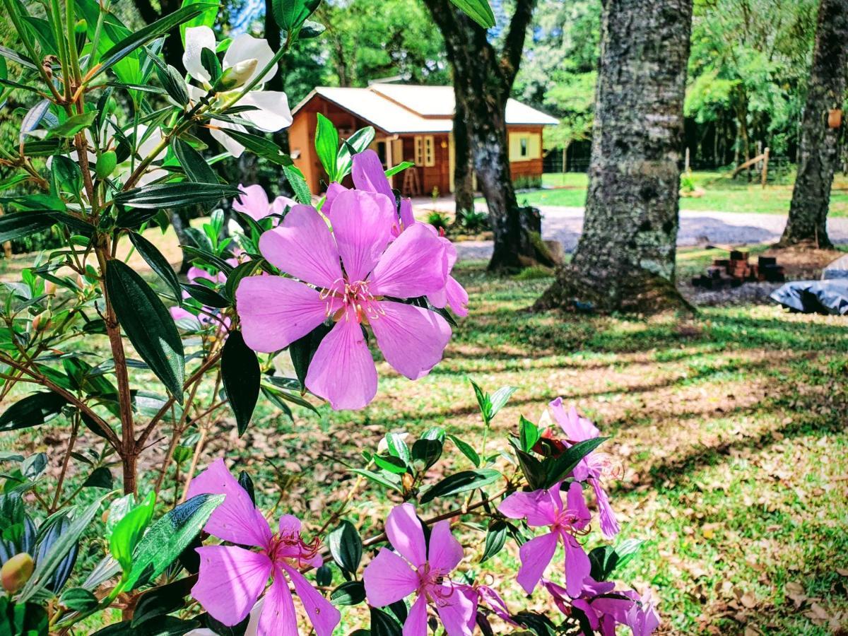 Sitio Recanto Feliz Gramado Exteriör bild